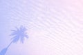 Beautiful Palm Tree Pastel Tone Nature, Copy Space of Summer. Minimal concept. Summer on The Beach with Palm in The Pink Sky. Royalty Free Stock Photo