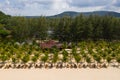 Beautiful palm tree rows at resort in Phu Quoc island Royalty Free Stock Photo