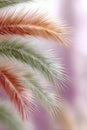 Beautiful palm tree textures create a vibrant and lively background perfect for design projects Royalty Free Stock Photo