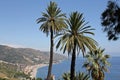 Beautiful palm trees against the blue sky and the Sicilian coast with the town located on the hills