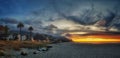 Beautiful palm trees on Camps bay beach in cape town, south Africa at sunset under dramatic sky Royalty Free Stock Photo