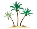 Beautiful palm trees with coconuts on island, sand, stones. Vector illustration Royalty Free Stock Photo