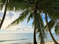 Beautiful palm trees on the tropical cost beach of Pulau Tioman, Malaysia 2019 Royalty Free Stock Photo