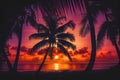 Beautiful palm trees tropical sunset