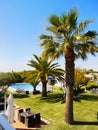 Hotel Spa Relaxation, Palms Garden, Outdoor Pool Royalty Free Stock Photo