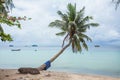 Beautiful palmtree on the beach