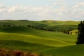 The Beautiful Palouse Hills Royalty Free Stock Photo