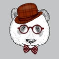 A beautiful panda with a hat, glasses and a tie. Vector illustration. Bear. Royalty Free Stock Photo