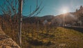 Beautiful panorama the church in city of Aigle in Switzerland with visible castle and vineyards. Beautiful mountain backdrop