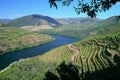 Beautiful panorama of the Douro River in Douro, Portugal