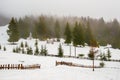 Beautiful panorama of fences