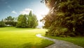 Beautiful panorama of green city park at dawn Royalty Free Stock Photo