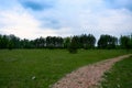 Beautiful panorama of green city park at dawn. Green Forest summer Landscape and blue sky Royalty Free Stock Photo