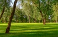 Beautiful panorama of a green city park at sunrise Royalty Free Stock Photo