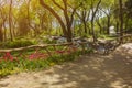 Beautiful panorama of green park Royalty Free Stock Photo