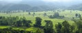 The  panorama landscape of the Green rice fields, The sun's rays through at the top of the hill  over the tree in the Royalty Free Stock Photo