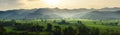 The panorama landscape of the Green rice fields the sunrise, The sun's rays through at the top of the hill  over the Royalty Free Stock Photo