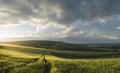 Beautiful panorama landscape South Downs countryside in Summer Royalty Free Stock Photo