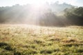 beautiful panorama landscape with sun and forest and meadow at sunrise. Royalty Free Stock Photo