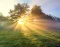 Panorama landscape with sun and forest and meadow at sunrise Royalty Free Stock Photo