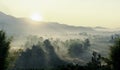 The panorama landscape of the tree in the rice fields, The sun's rays through at the top of the hill and the moving fog Royalty Free Stock Photo