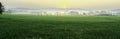 The panorama landscape of the tree in the rice fields, The sun's rays through at the top of the hill and the moving fog Royalty Free Stock Photo