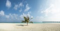 Beautiful panorama landscape view of tropical beach at island resort Royalty Free Stock Photo