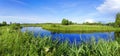 Beautiful panorama of the river of Berezina Royalty Free Stock Photo