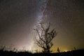 Beautiful panorama, rural landscape at night. Dark contrast silhouette of lonely tree on dark sky with myriads of white sparkling