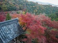 Beautiful panorama scene of colorful maple and fresh green trees in mountain with roof of japanese temple pavilion Royalty Free Stock Photo