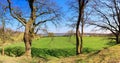 Beautiful panorama of spring landscapes with green grass and a clear blue sky Royalty Free Stock Photo