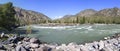 Beautiful panorama summer mountain river Katun