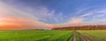 Beautiful panorama of sunset over a green field of young shoots of agricultural crops Royalty Free Stock Photo