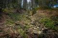 Spring trekking Beskidy Rysianka Romanka