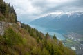 Beautiful panorama view of fresh forest on mountain with lake brienz, mountains and cloudy sky background looking from harder kulm