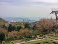 Beautiful panorama view of Kobe city with Sakura cherry blossom trees for background