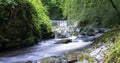 Beautiful panorama view of water fall landscape at green forest in the summer, Ghyll Force, Ambleside, Lake District National Park