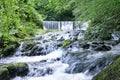 Beautiful panorama view of water fall landscape at green forest in the summer, Ghyll Force, Ambleside, Lake District National Park