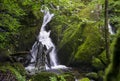 Beautiful panorama view of water fall landscape at green forest in the summer, Ghyll Force, Ambleside, Lake District National Park