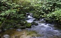 Beautiful panorama view of water fall landscape at green forest in the summer, Ghyll Force, Ambleside, Lake District National Park