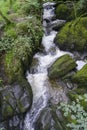 Beautiful panorama view of water fall landscape at green forest in the summer, Ghyll Force, Ambleside, Lake District National Park