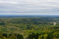 Beautiful panoramic aerial drone view to Bialowieza Forest - one of the last Royalty Free Stock Photo