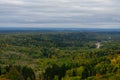 Beautiful panoramic aerial drone view to Bialowieza Forest - one of the last Royalty Free Stock Photo