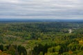 Beautiful panoramic aerial drone view to Bialowieza Forest - one of the last Royalty Free Stock Photo
