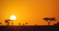 Beautiful panoramic african sunset in the Serengeti Park savannah plains, Tanzania, Africa Royalty Free Stock Photo