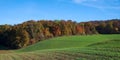 Beautiful panoramic autumn forest and green fields Royalty Free Stock Photo