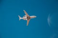 Beautiful Panoramic Background with flying plane in blue sky. Passenger airplane takes off in sky. Travel concept. Wide