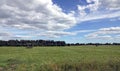 Beautiful panoramic countryside landscape with green field, mixed forest and white clouds on blue sky in the midday Royalty Free Stock Photo