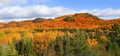 Panoramic landscape of fall foliage in Quebec Royalty Free Stock Photo