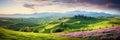 Beautiful panoramic landscape of a green hills with spring flowers - AI Generated